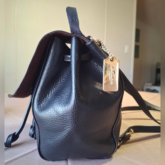 Coach F59819 Derby Mini Backpack - Picture 7 of 13